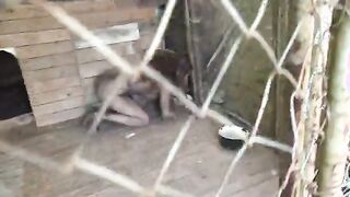 Maniaco folla a una joven salvaje enjaulada en su patio